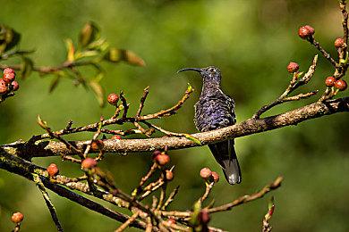 《战地6》测试版服务器爆满！ 官方发文表示正努力缩短等待时间